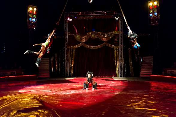 Akrobacie na kurtách