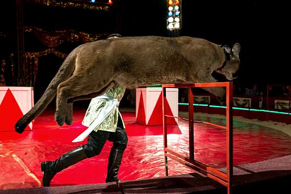 Výcvik pum amerických