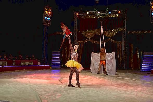 Akrobacie na šálách